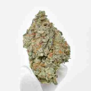 Apple Jack