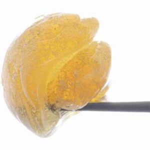 Buy Grapes N Cream Live Rosin Fresh Press