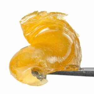 Hawaiian Punch Live Rosin Fresh Press UK