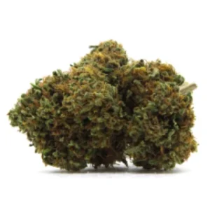 cannabis strain