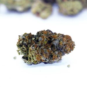temple kush