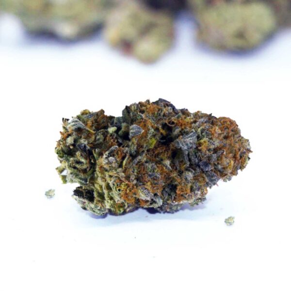 temple kush