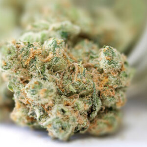 Thin Mint Girl Scout Cookies Weed Strain IE